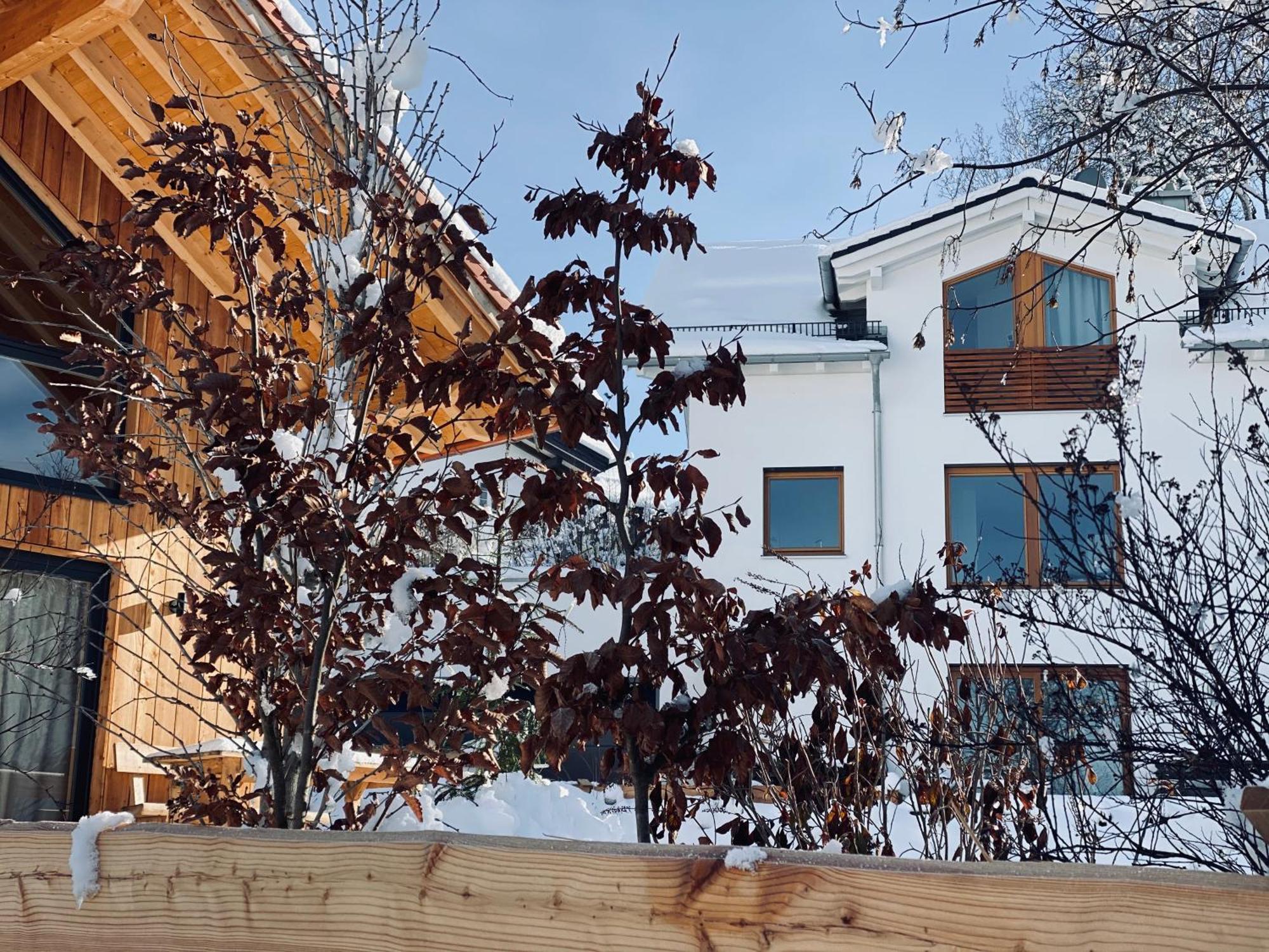 Schlossquelle Koenigsdorf Konigsdorf Ngoại thất bức ảnh